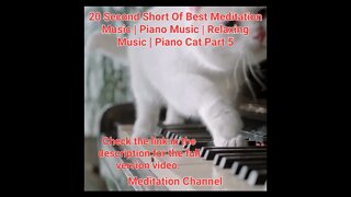 20 Second Short Of Best Meditation Music | Piano Music | Relaxing Music | Piano Cat Part 5 #shorts