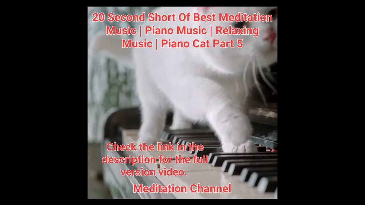 20 Second Short Of Best Meditation Music | Piano Music | Relaxing Music | Piano Cat Part 5 #shorts