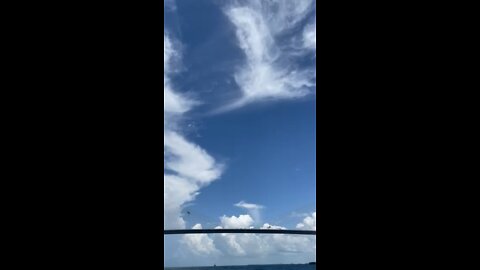 Skyway bridge