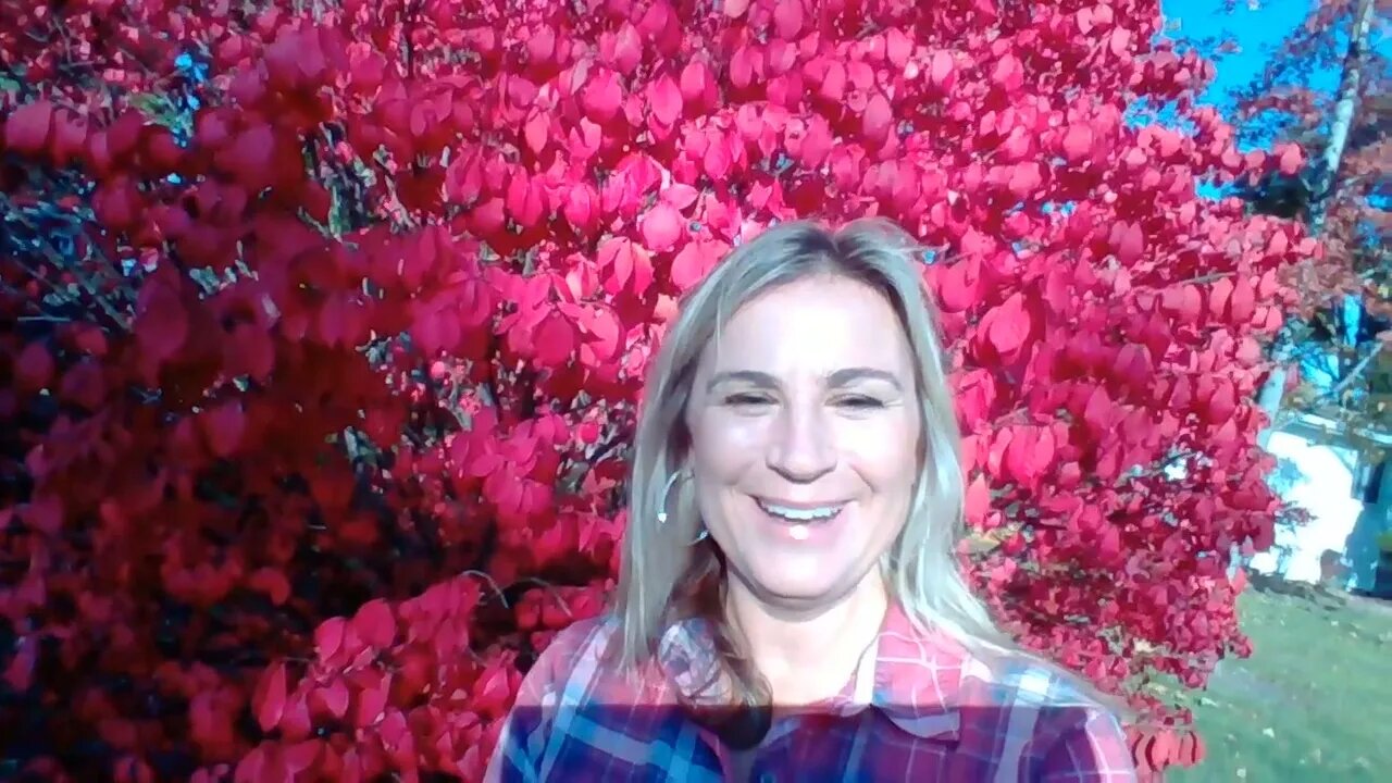 Don't forget to soak in the fall weather and take a deep breath