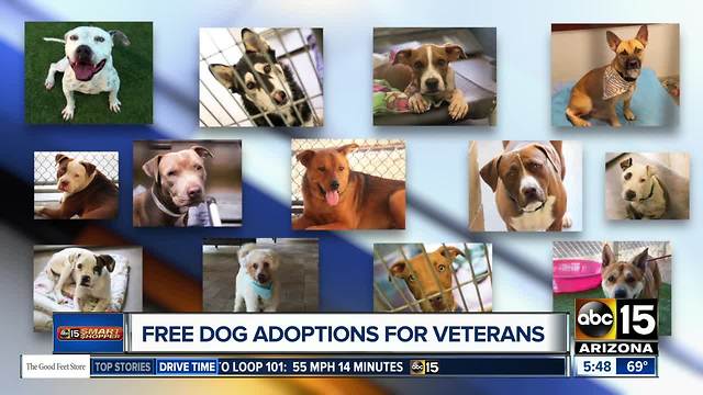 Veterans can adopt pets for free at MCACC