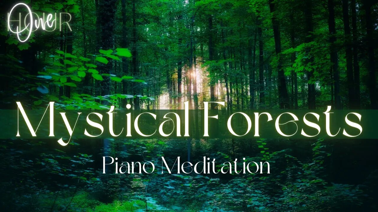 ONE HOUR | Mystical Woods: Piano Meditations in Nature's Embrace