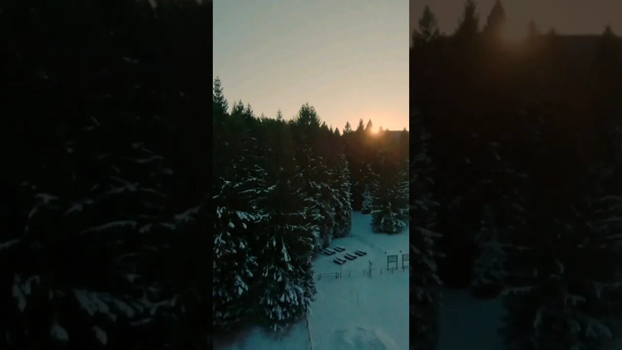 Soulquarians flying through a snow landscape #shorts