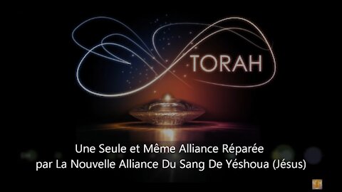 Le Vrai Évangile ☆ Torah et Yeshoua