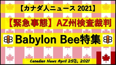【緊急事態】AZ州検査裁判 Babylon Bee特集