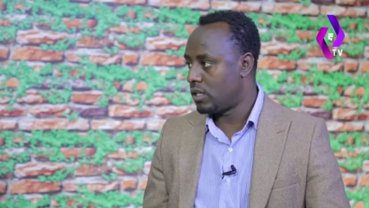 ሰሜን ሸዋ ላይ የተበታተነውን የህወሓት ቡድን ኦነግ ሸኔ በድጋሚ አደራጅቶ ውጊያውን አጣዬ ላይ አድርሰውታል - ጎበዜ ሲሳይ