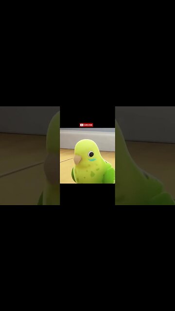 Daily #25 Japan Conversation with Chi #shorts #cat