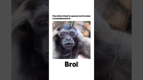 Funny monkey sound 🤣 #viral #funny #memes #trending #comedy #motivation