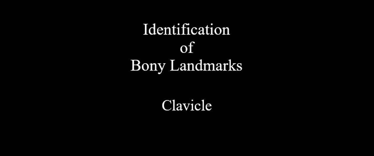 Identification of Bony Landmarks - Clavicle