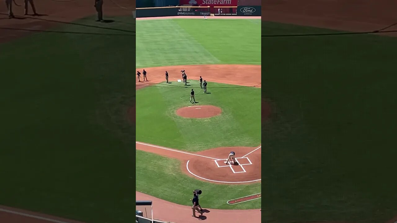 At the ballpark