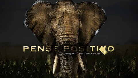 #leidaatração #conselho #pensepositivo O elefante e o reino dos cegos | Respeite as opiniões