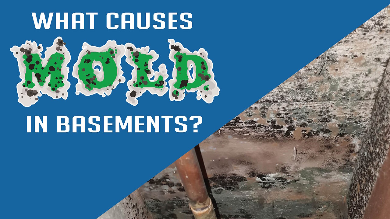 What causes Mold in Basements?