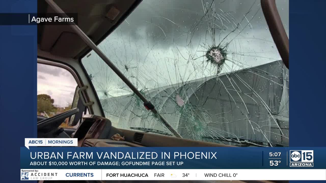 Agave Farms in Phoenix vandalized: How you can help