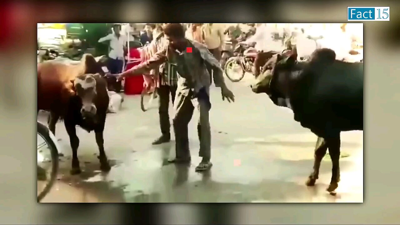 Indian dangerous drunkers