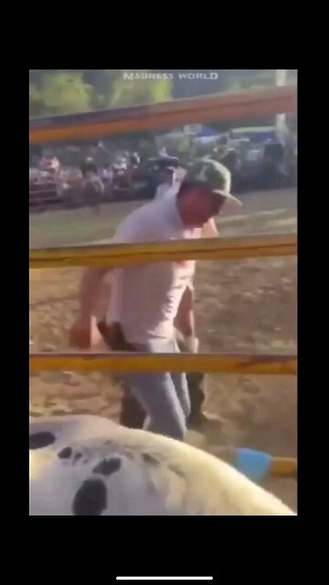 Brutal: Bull ride goes wrong seriously wrong.