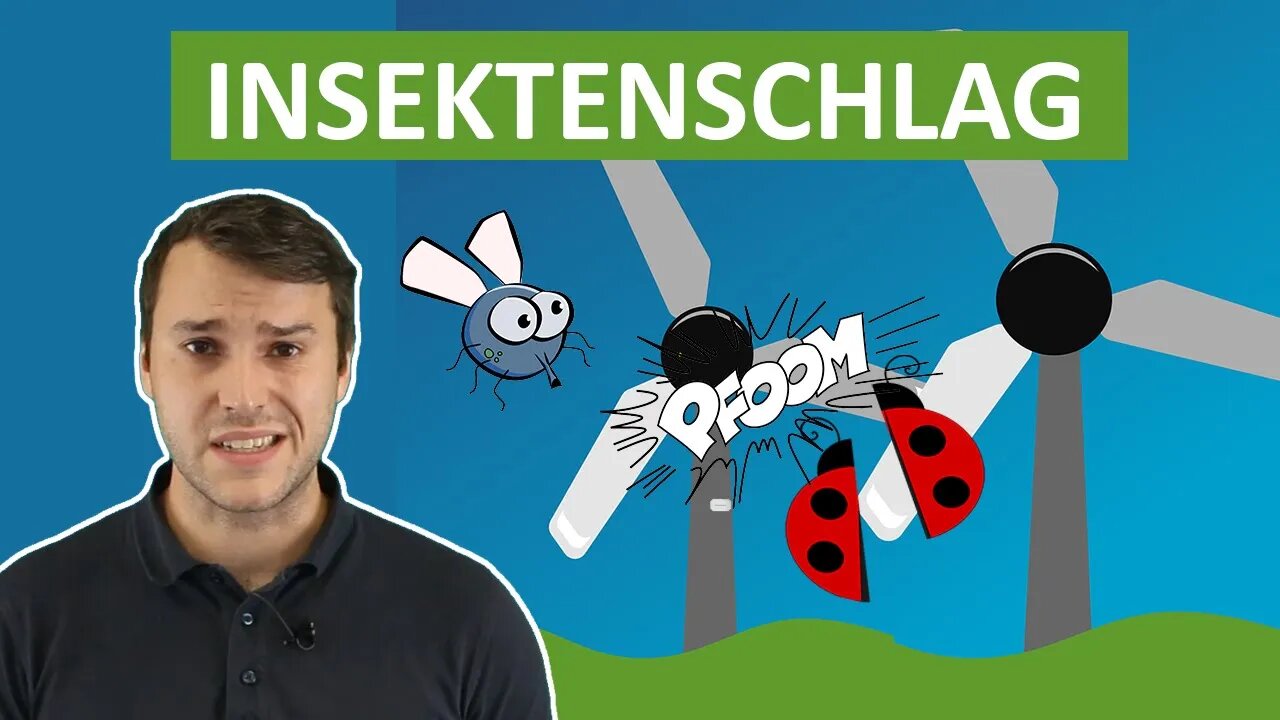 Windkraft und Insektenschlag - Klimawissen - kurz&bündig