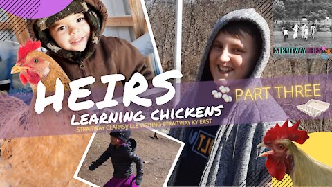Heirs Learning Chickens Part Three