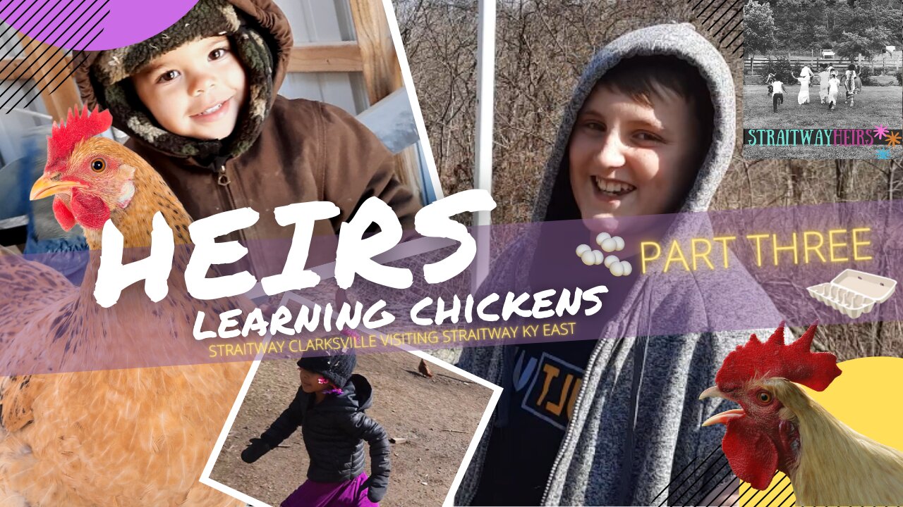Heirs Learning Chickens Part Three