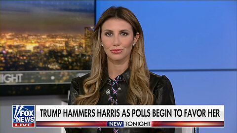 Alina Habba: Kamala Harris Is 'Hiding'