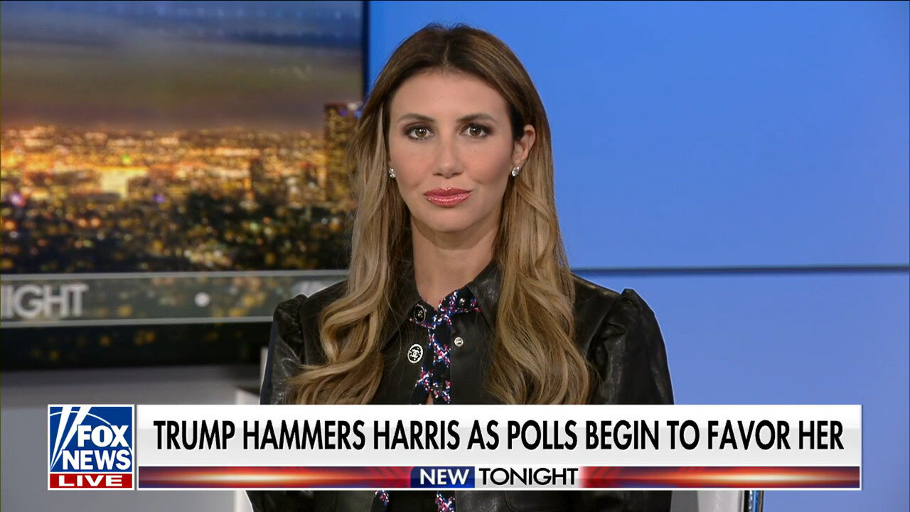 Alina Habba: Kamala Harris Is 'Hiding'