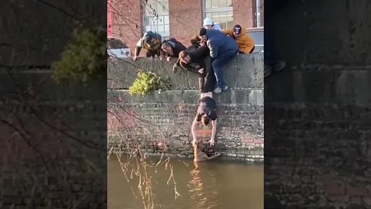 Resgate Cachorro no Rio, Humanos ainda são bons!