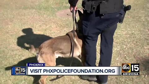 Top stories: Arizona educators organize walkout; Phoenix police K-9 honored; Warm temps return to Valley; MCSO hiring fair