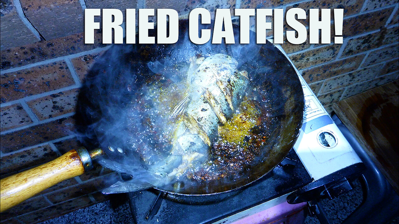 7 minutes of Frying Catfish Estuarine Hardhead Catfish.