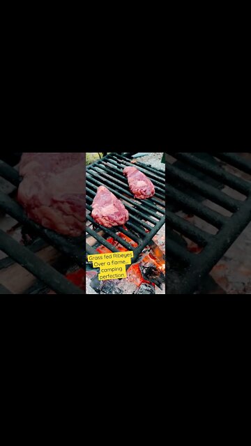 Primal life. 4 days of primitive camping! Strict #carnivore #animalbased #carnivorediet #keto #hit