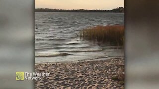 Windy day at the waterfront in Ontario