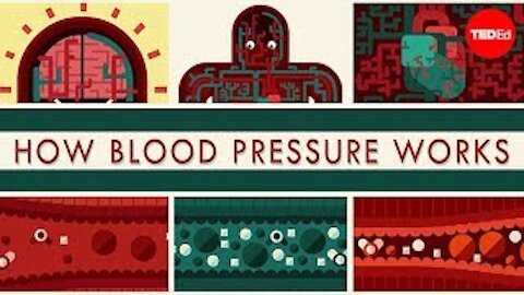 How blood pressure works