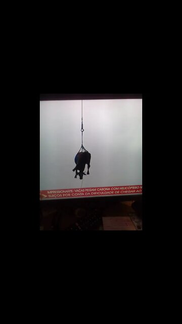 a vaca voadora de helicoptero pt1 #shorts
