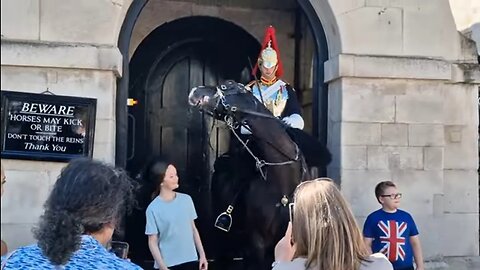 Horse knocks off girls baseball cap #horseguardsparade