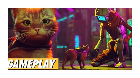 STRAY 😻CAT 😻ADVENTURE game 2022