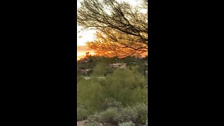 Sunset with Lulu