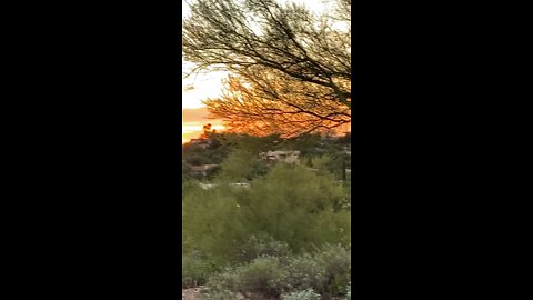 Sunset with Lulu
