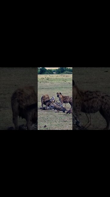 Afternoon Snack #shorts | #ShortsAfrica | #Augdailyshorts