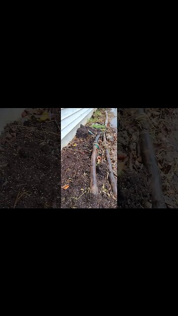 @TBirdAndReds Crazy train off the rails in February cheers