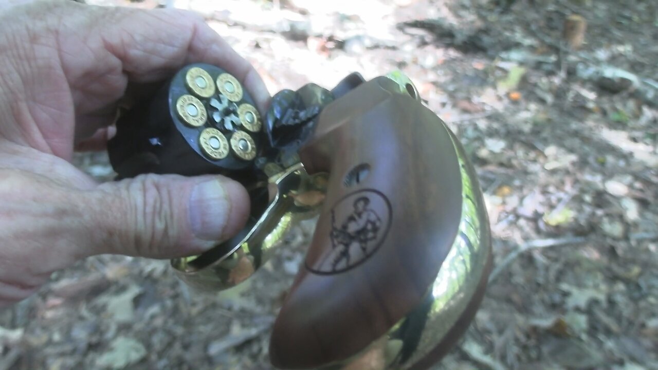 Henry Big Boy Revolver .357 Magnum Close-up