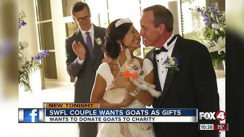 Newlyweds have a 1000 goat wedding