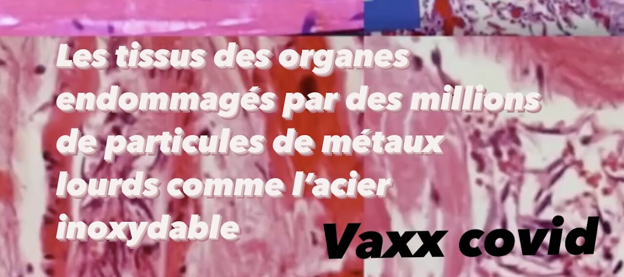 Les organes endommagés par les métaux lourds des vaxx