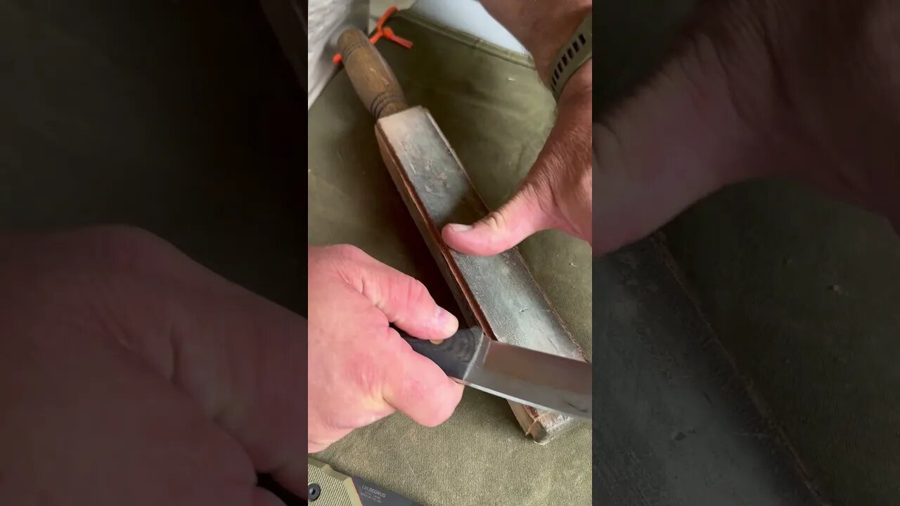 Keeping my Shemanese Sharp. #shorts #sharp #asmr #bushcraft