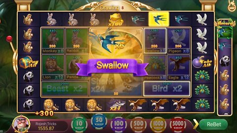 Roulette Live Game Play