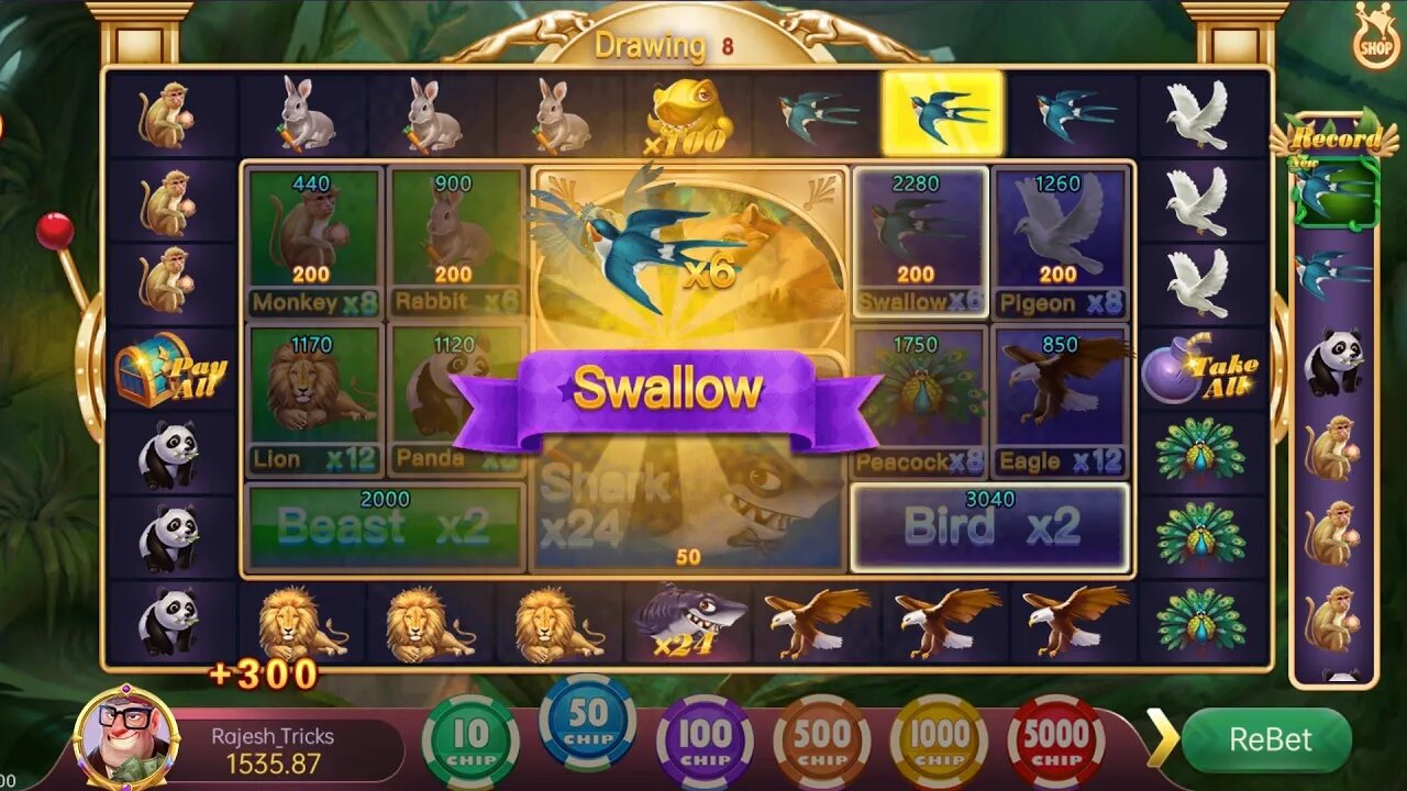 Roulette Live Game Play