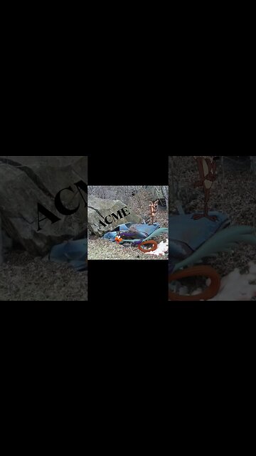 😂🤣😂 I was bored, and I ran across this photo of the car. The rest is here….#funny #bored #laugh