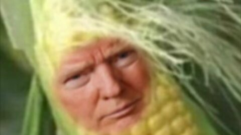 The Ultimate Donald Trump Corn Meme! 🌽