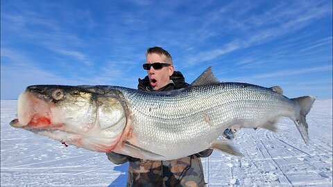 4 Day Fishing + Hunting Catch & Cook in an Inuit Village (Best Ice Fishing in the World)