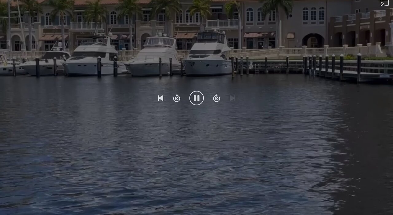 Tarpon sighting at the fuel dock #tarpon #boating #capecoral