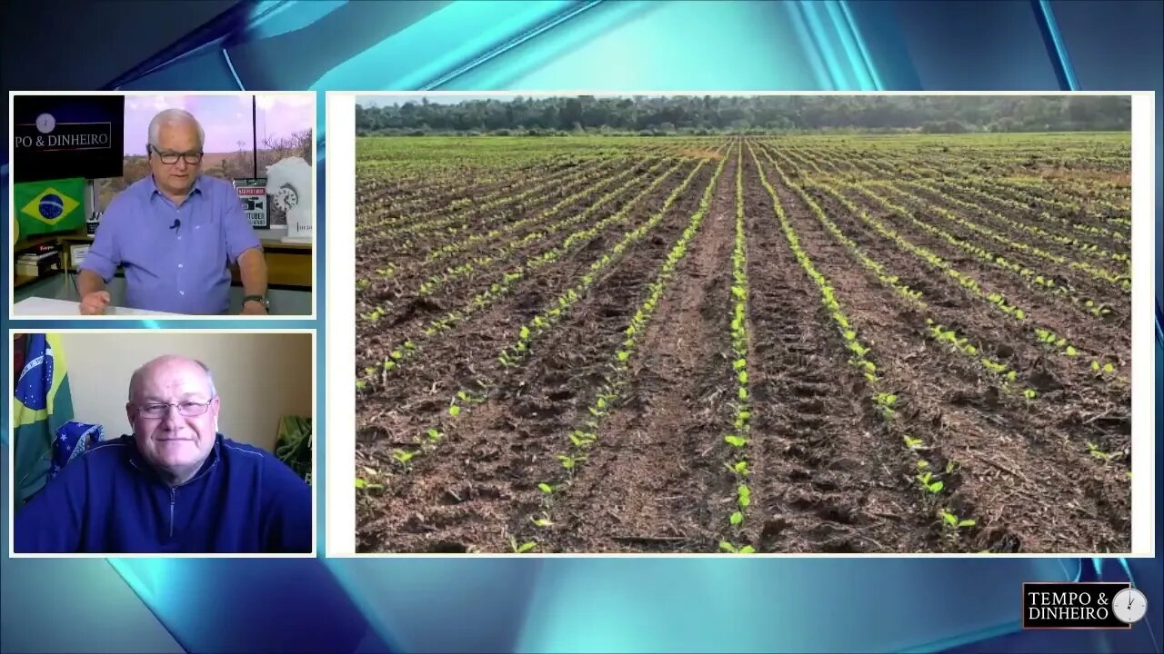 Soja 22/23 segue com boa germinação em Rondônia mostra Marcelo Calgaro