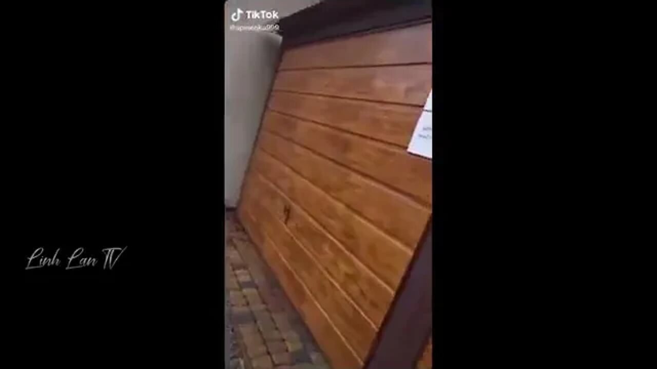 Tổng Hợp Những Khoảnh Khắc Hài Hước Của Năm 😆🔥🐷 PART 5