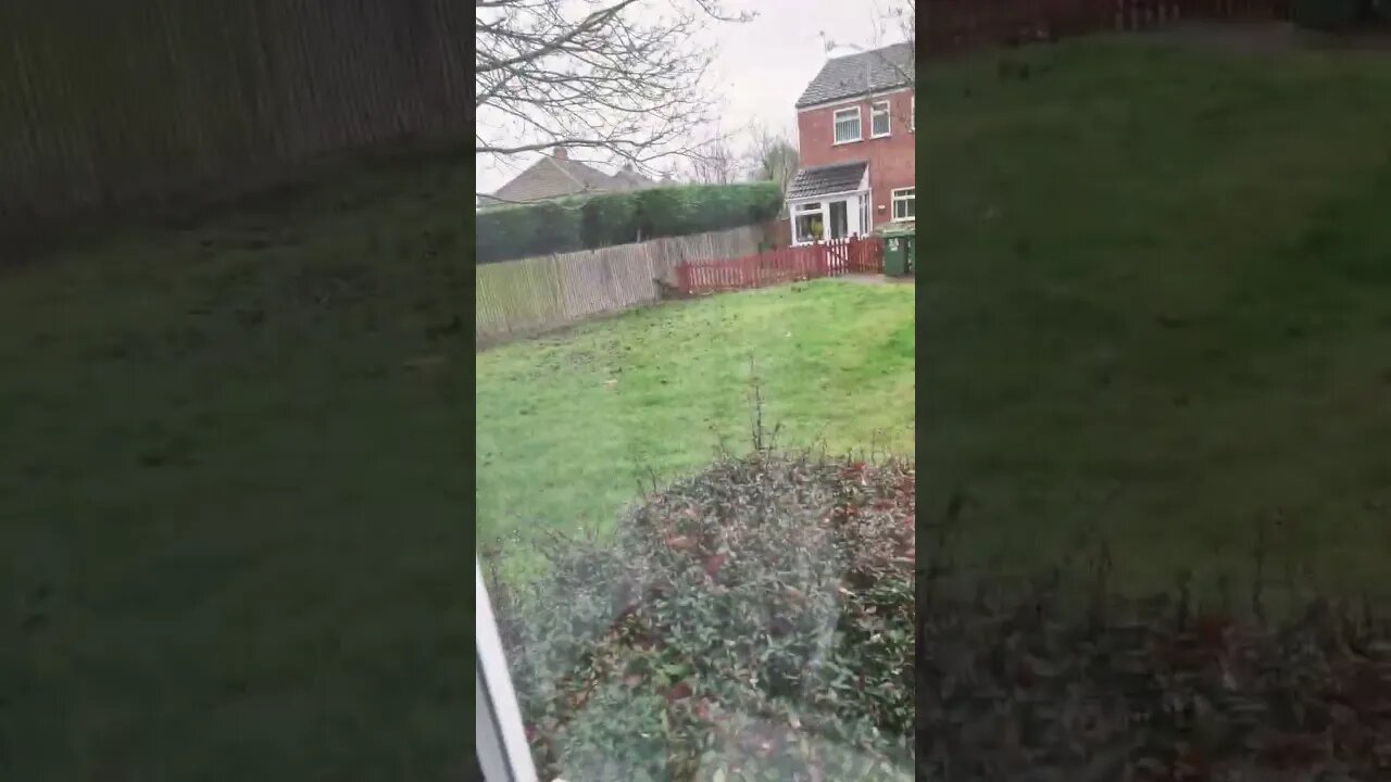 bedroom view from today